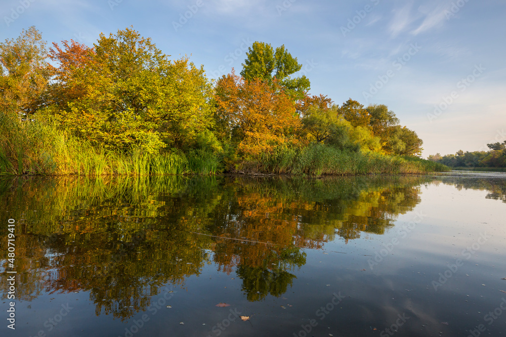 Fototapeta premium Summer river