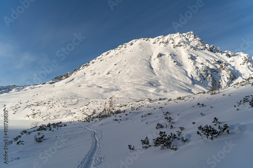 Mountain winter landscape in the Tatras  trail trampled in the snow overlooking the snow-capped mountains in frosty sunny weather Tatras Poland