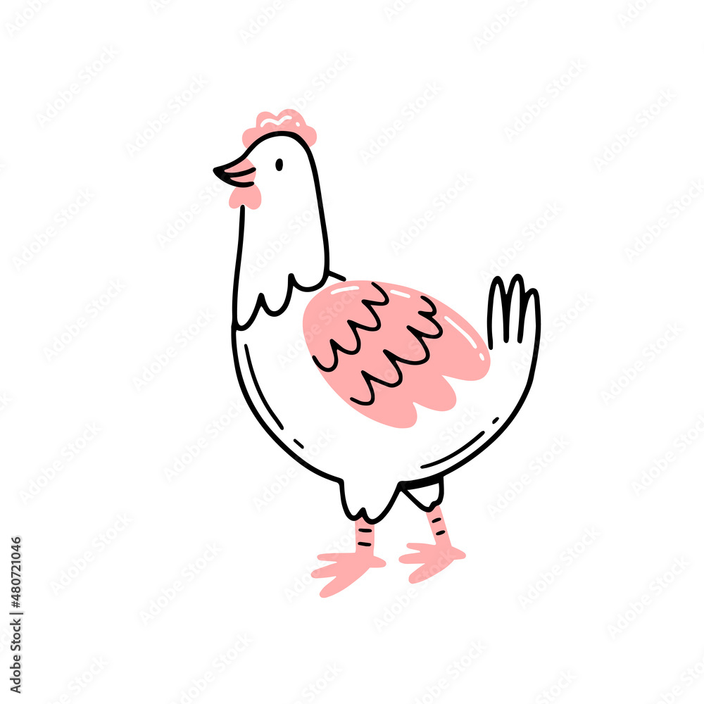 Cute chicken character in linear doodle style. Hand draw vector isolated illustration with farm animal chicken.
