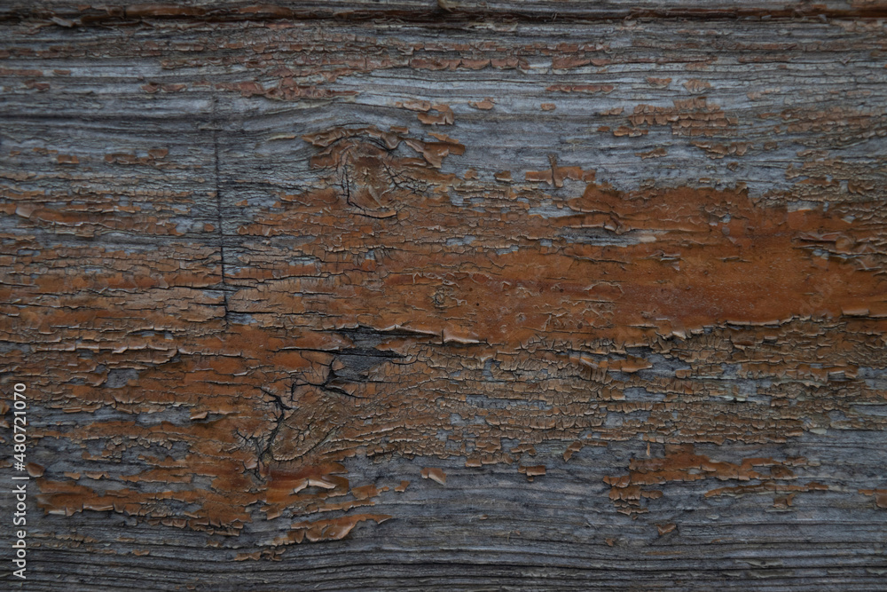 Fototapeta premium Wood with old varnish. Falling off varnish. Old wood material.