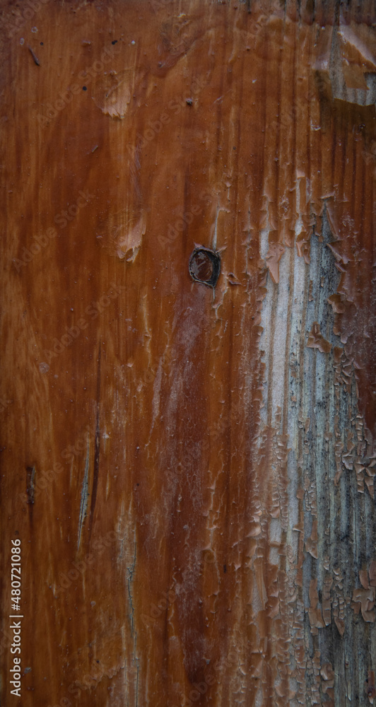 Naklejka premium Wood with old varnish. Falling off varnish. Old wood material. Old varnish wood