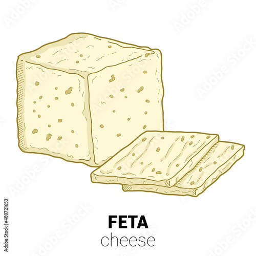 Feta Sheep Cheese Colorful Vector Illustration