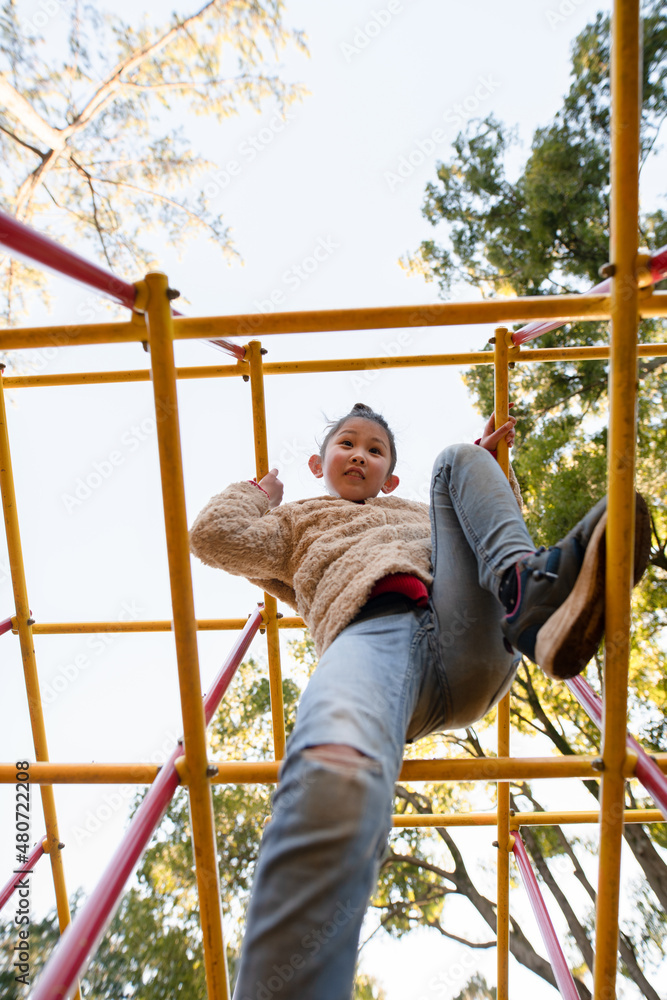 Obraz premium ジャングルジムで遊ぶ少女