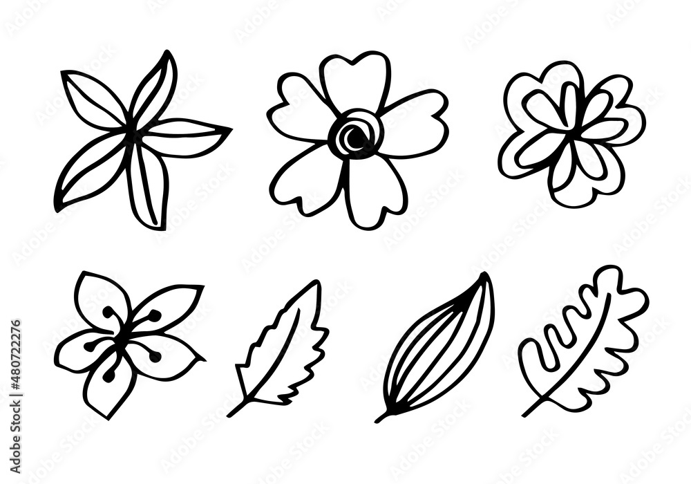 Fototapeta premium a collection of hand-drawn flower images such as bell flower, chrysanthemums, sunflowers, cotton flowers, and tropical leaves