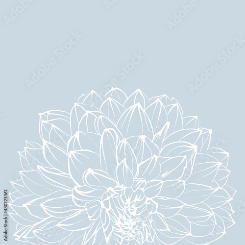 White dahlia flower in graphics , sketch vector graphic isolated illustration on blue background, for notebook, sketchbook, postcards, posters, greeting card 