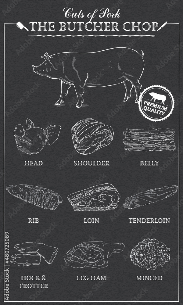 Cuts of pork diagram part of pork cut of meat set. Poster Butcher diagram vintage typographic handdrawn. Vector illustration on black