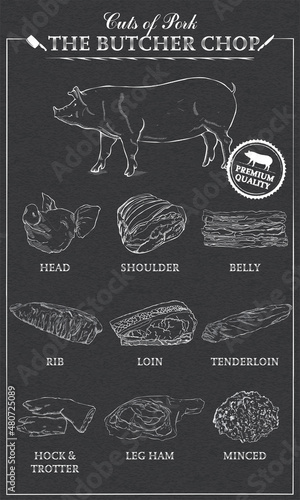 Cuts of pork diagram part of pork cut of meat set. Poster Butcher diagram vintage typographic handdrawn. Vector illustration on black