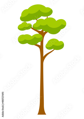 Spring or summer stylized tree with green leaves.