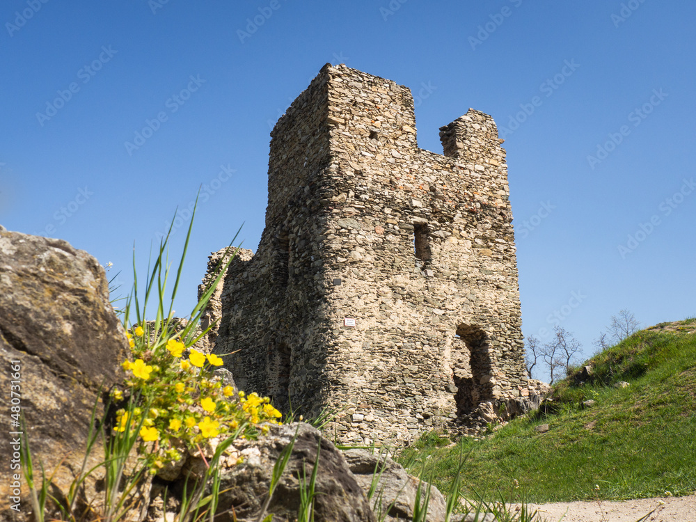 Ruins of ancient gothic castle Brnicko, Czech Republic, Europe. Old ruin with grass, flowers and sky in spring.