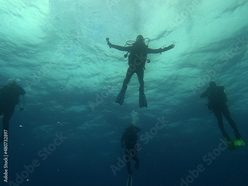 woman diver on a dive near the uninhabited islands in the galapagos 