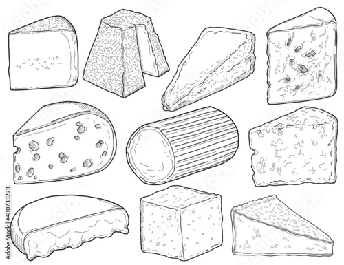 Cheese Types Collection Black and White Hand Drawn Illustration Set