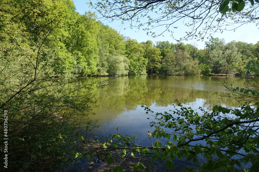 Fototapeta premium Maunzenweiher bei Frankfurt