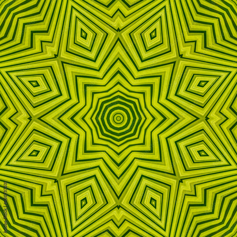 Green mandala from forest palm tree leaves. Mandala made from natural objects. Natural leaf ornament. Symmetry, seamless, perfection