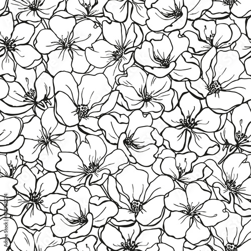 Elegant line art floral background. Seamless vector pattern of apple  cherry flowers. Hand drawn black and white illustration for design packaging wedding invitations  textile  wallpaper  fabric