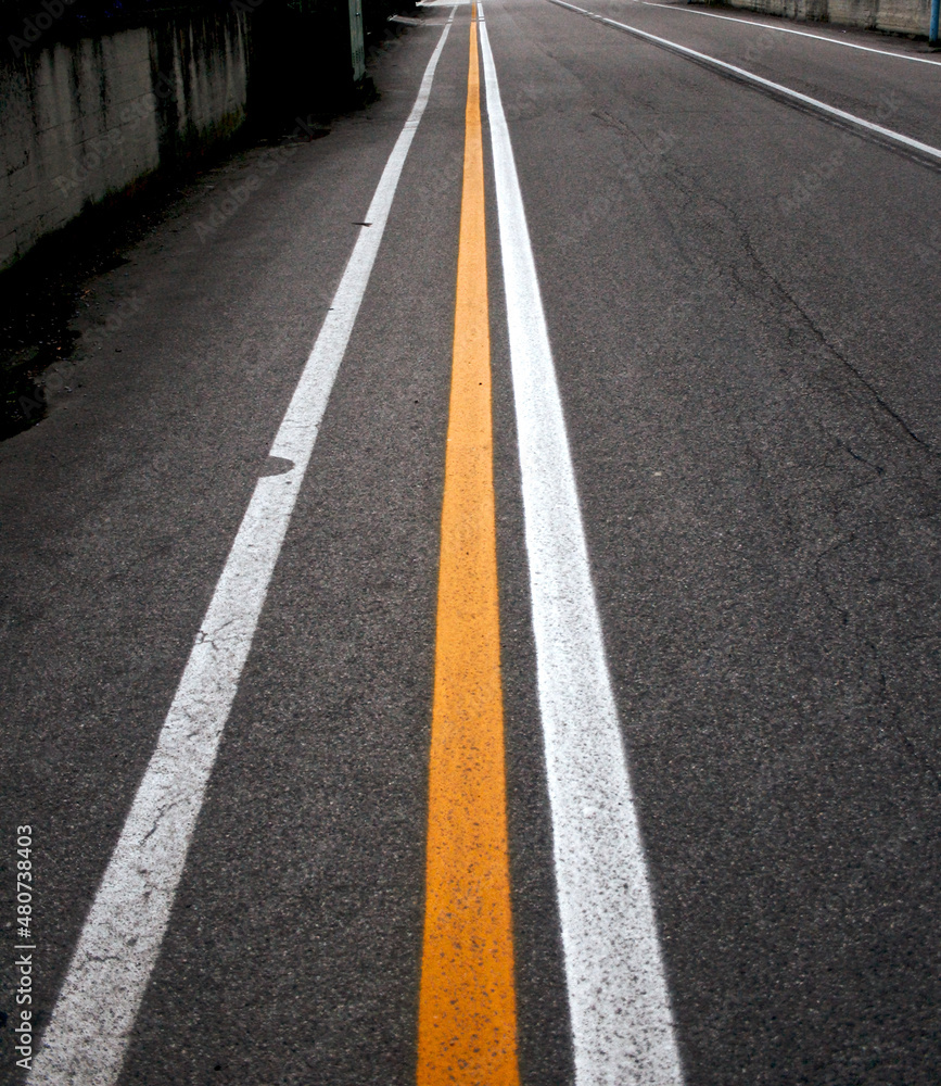 lines lines