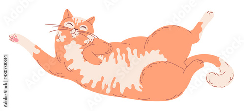 Satisfied ginger cat lies on his back upside down