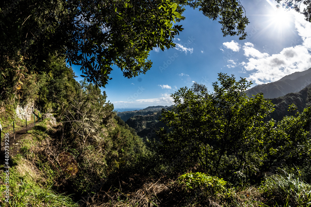 Madeira - Levada do Rei