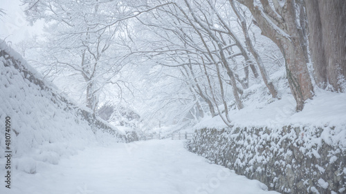 滋賀県 百済寺 雪景色