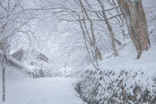 滋賀県 百済寺 雪景色 © TAKUYA ARAKI
