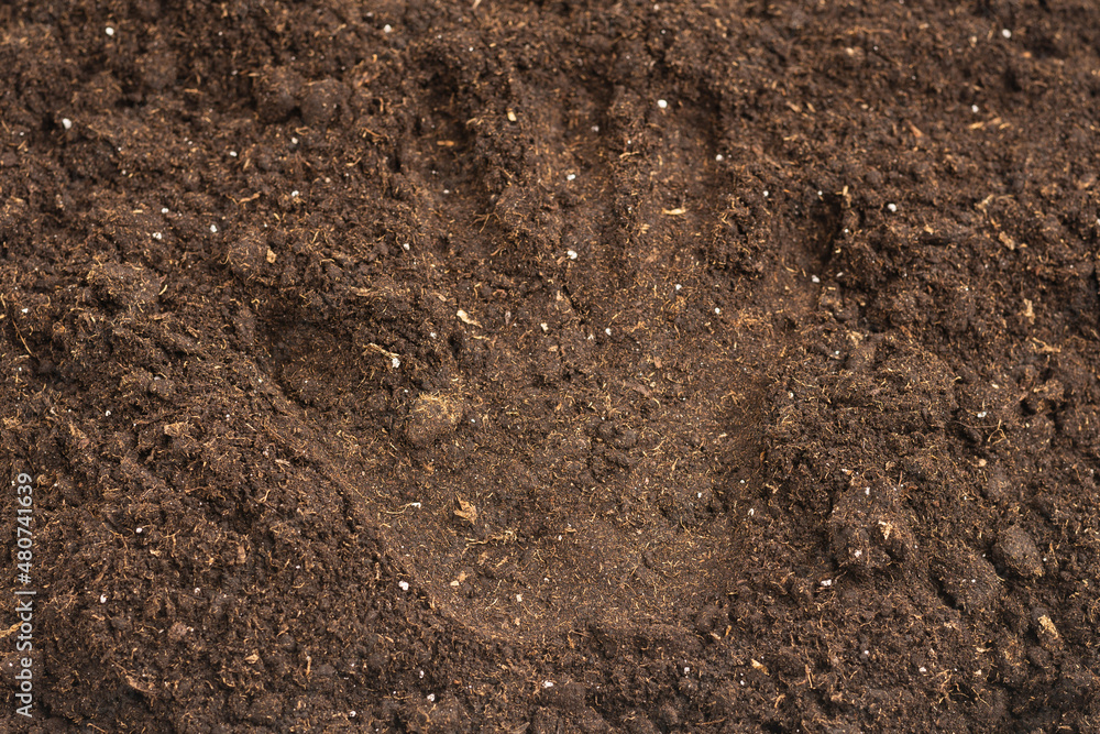 Woman hand trace on a ground. Woman hand trace on a ground.