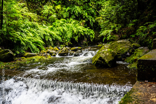 Madeira - Levada do Rei