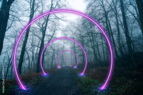 Fantastic view of a country road in a foggy night forest and red rings of space portals