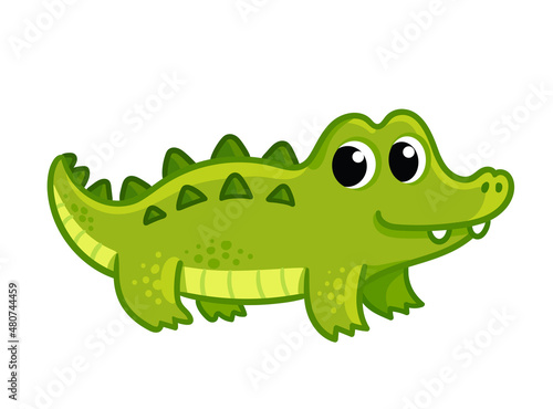 Baby crocodile on a white background. Vector illustration with a crocodile in cartoon style.