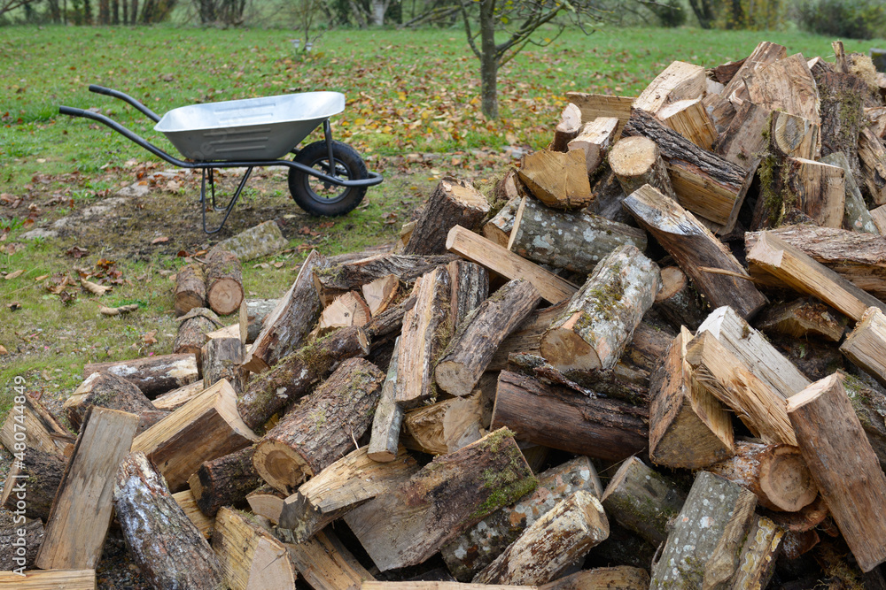 Pile de bois de chauffage en vrac à l'extérieur dans un jardin, avec une brouette vide en arrière-plan Pile de bois de chauffage en vrac à l'extérieur dans un jardin, avec une brouette vide en arrière-plan