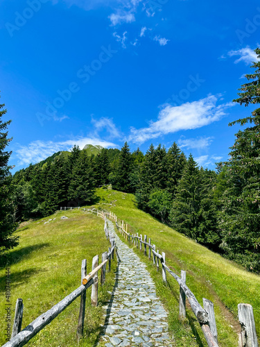 path in the mountains at merano, italy