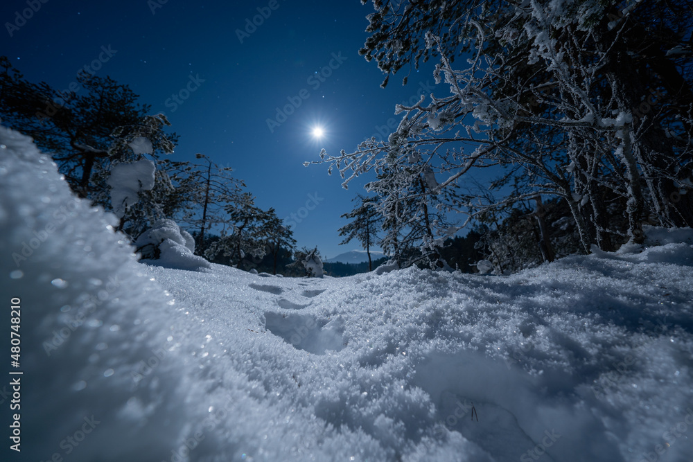 footprints in a winter landscape with a full moon