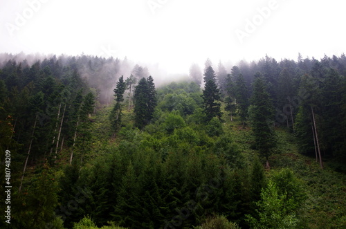 Panorama of natural landscape forest and mountains in a rainy day background. Foggy morning with mountains and forest. Beautiful Slovakia nature background. Enivromental concept.