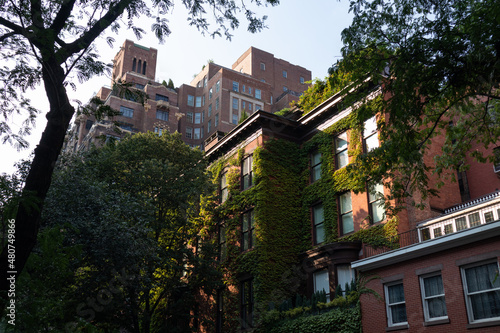 Row of Beautiful Old Brick Residential Buildings Covered in Ivy in Greenwich Village of New York City during the Summer