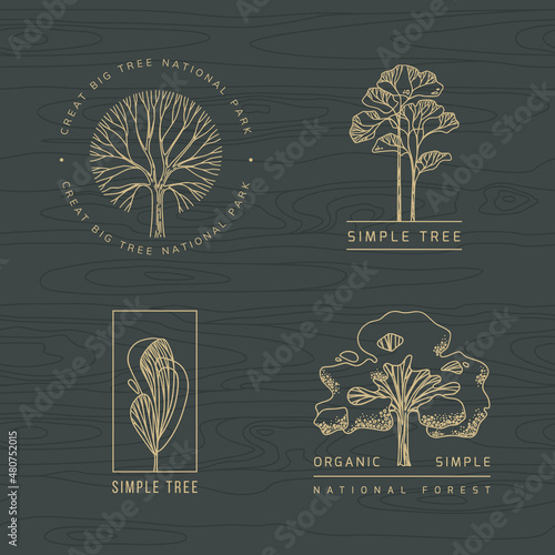 Tree vector icon logotypes. Nature trees vector illustration logo design. Tree national park logo.