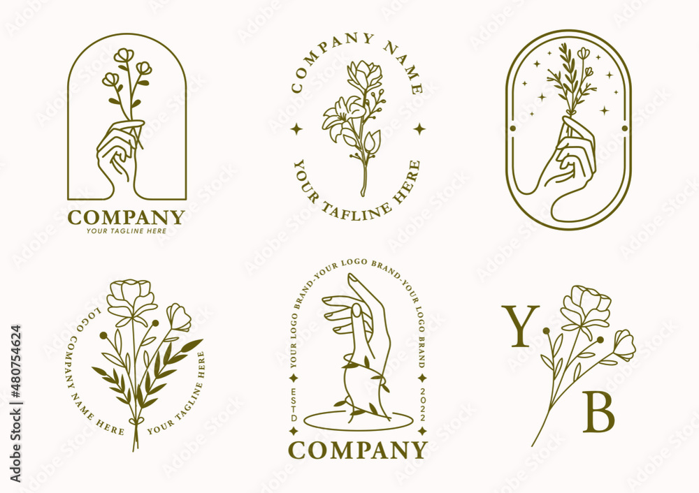 Fototapeta premium Aesthetic and simple floral decorative logo vector elements collection