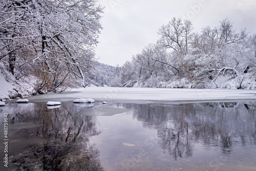 Winter forest by the river. Very beautiful natural background.