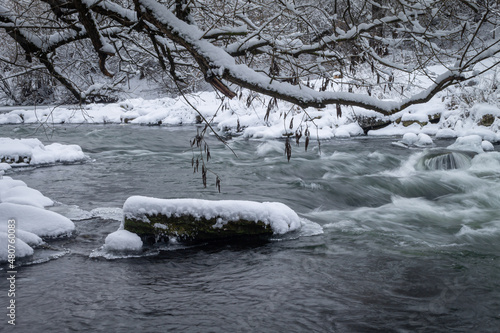 Winter forest by the river. Very beautiful natural background.