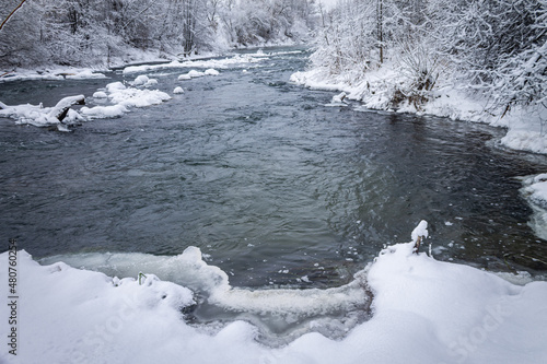 Winter forest by the river. Very beautiful natural background.