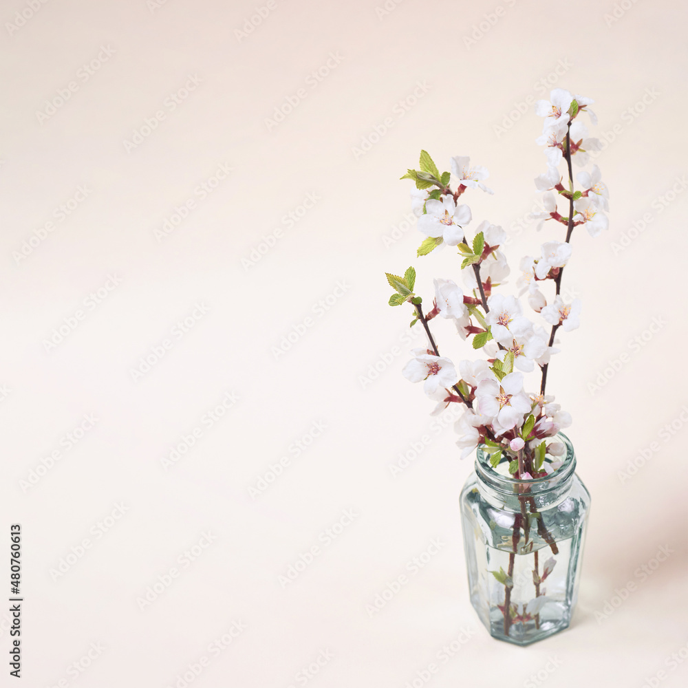 A bouquet of flowering cherry branches on beige background. A bouquet of flowering cherry branches on beige background.