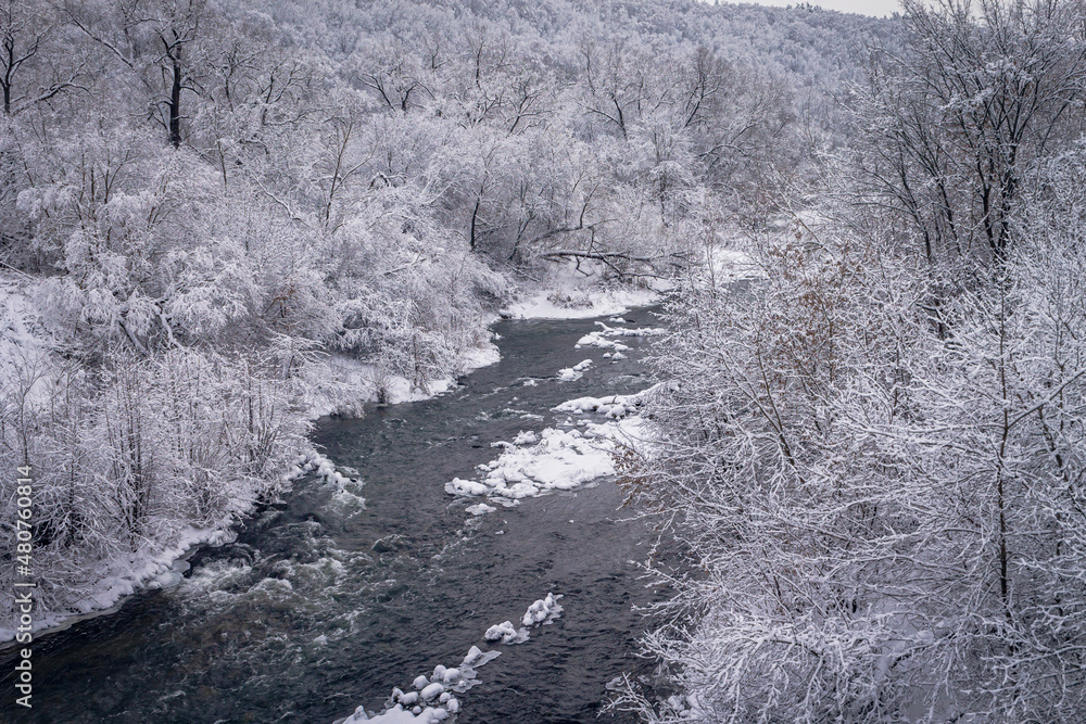 Winter forest by the river. Very beautiful natural background. Winter forest by the river. Very beautiful natural background.