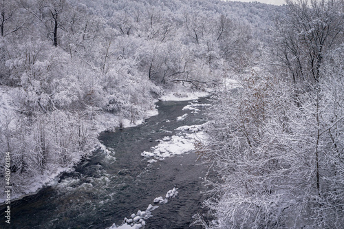 Winter forest by the river. Very beautiful natural background.