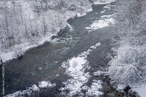 Winter forest by the river. Very beautiful natural background.