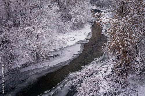 Winter forest by the river. Very beautiful natural background.