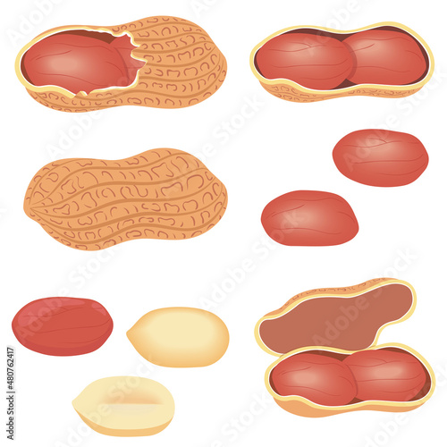 All kinds of peanuts with different appearance
