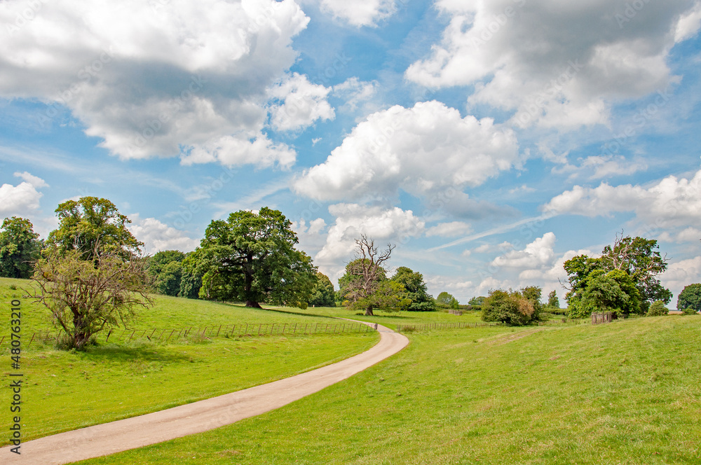 Fototapeta premium Rural scenery in the UK.