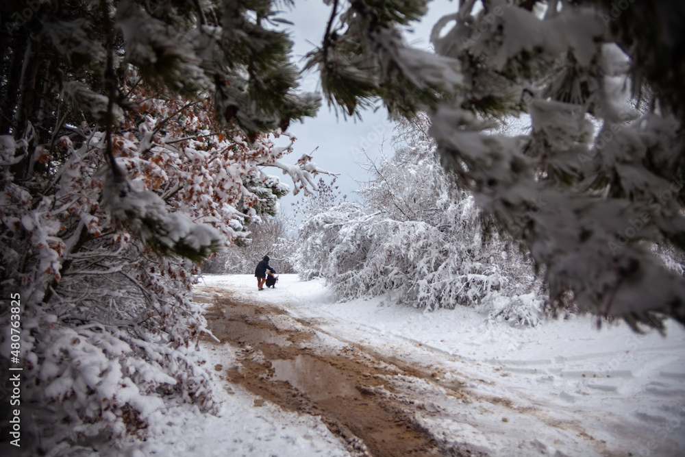 Winter landscape from snow forest. Bulgaria resorts