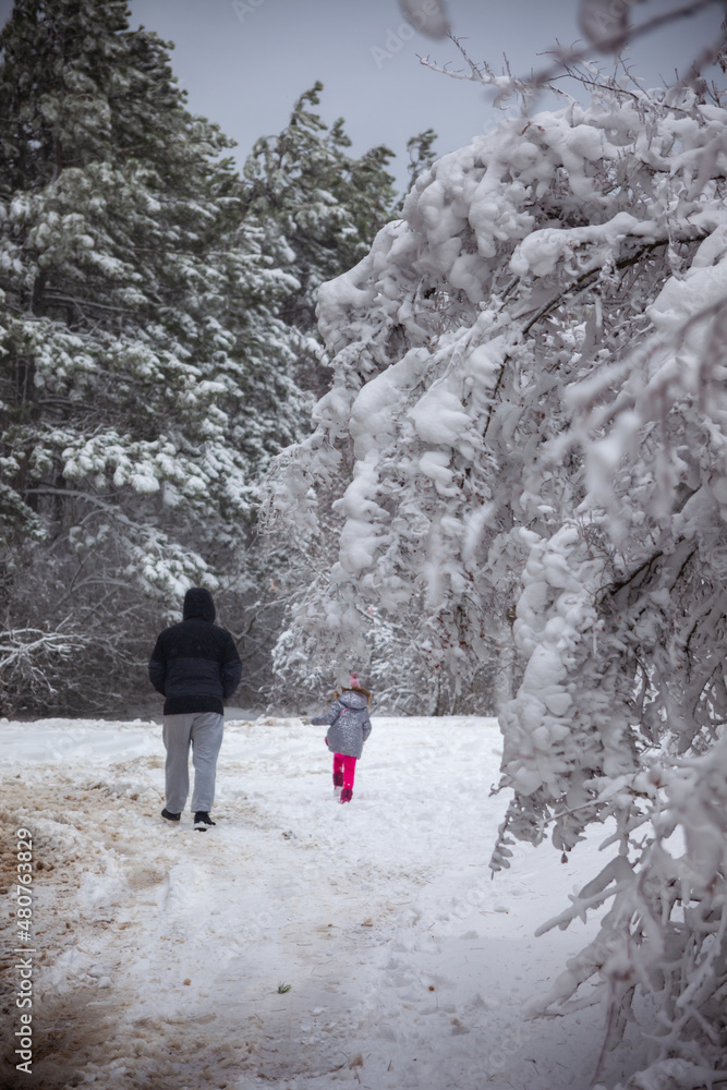 Winter landscape from snow forest. Bulgaria resorts