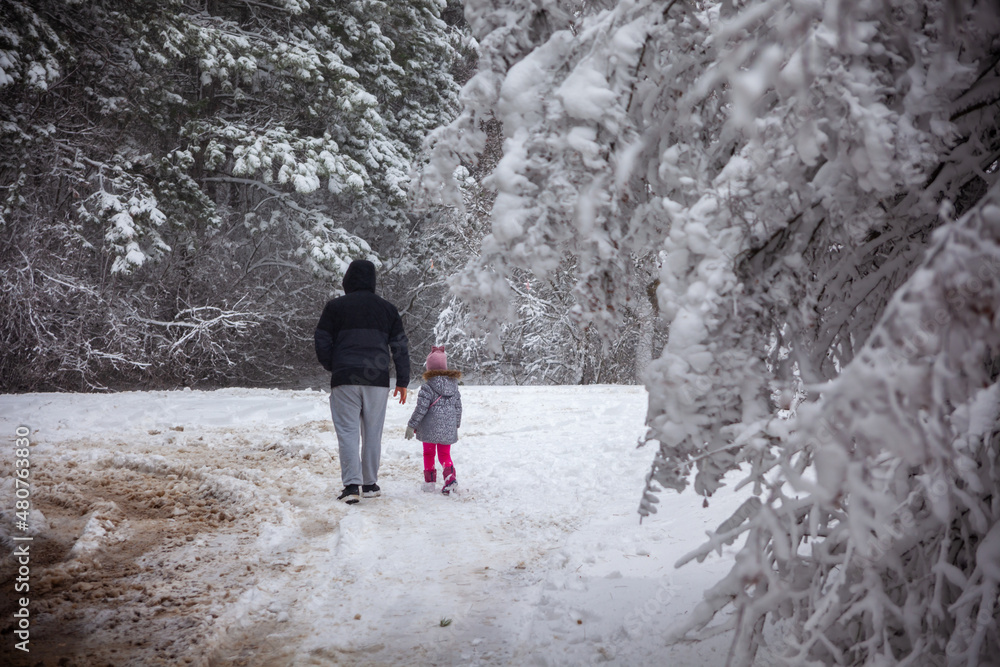 Winter landscape from snow forest. Bulgaria resorts
