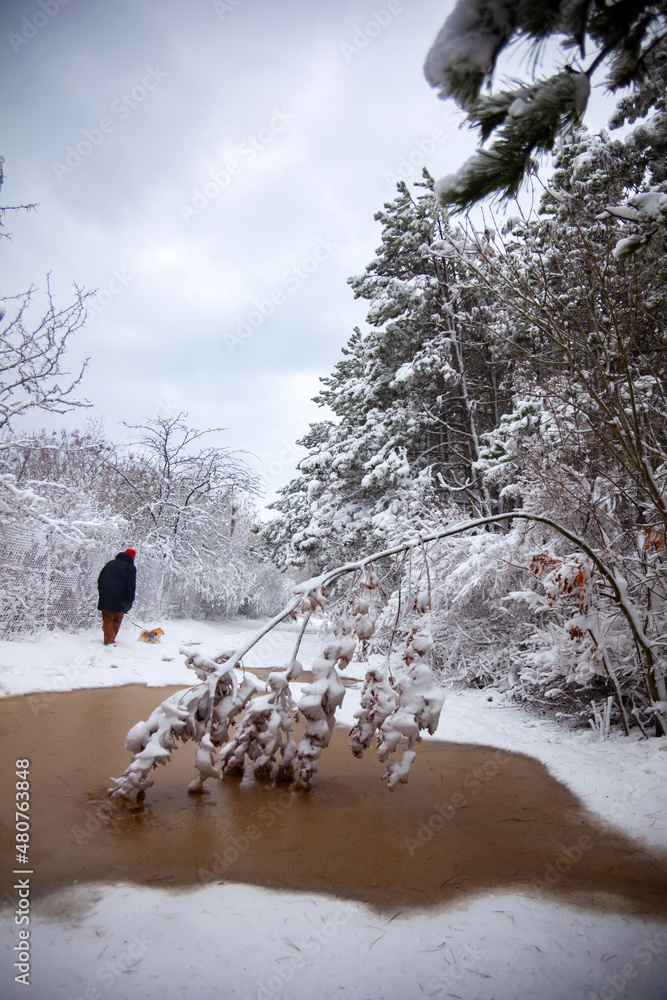 Winter landscape from snow forest. Bulgaria resorts