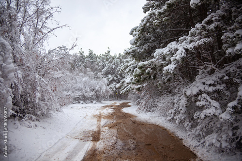Winter landscape from snow forest. Bulgaria resorts