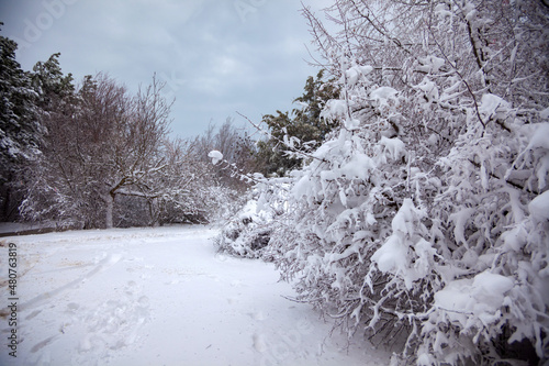 Obraz na płótnie Winter landscape from snow forest. Bulgaria resorts w salonie